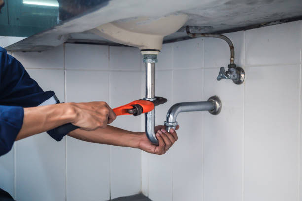 Best Plumbing Inspection Services  in Asheville, NC